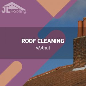 walnut-roof-cleaning